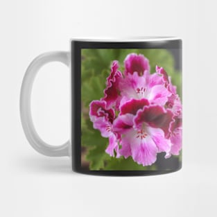 Pelargonium Bouquet Mug